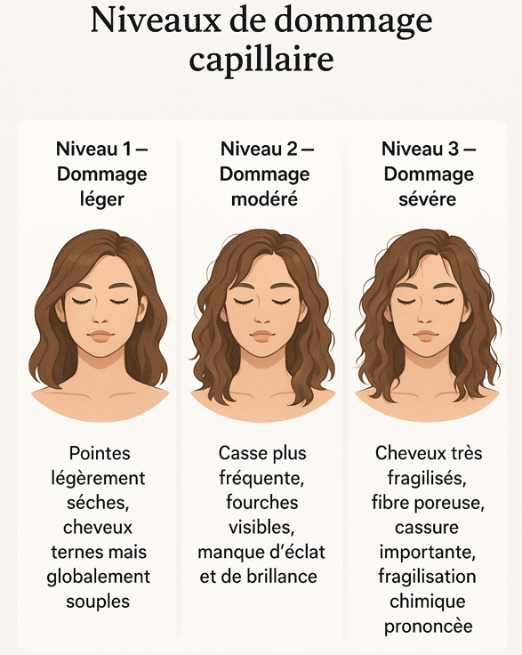 dommage capillaire